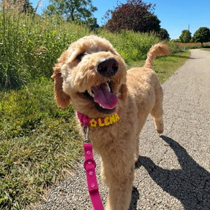 POFFI WALK