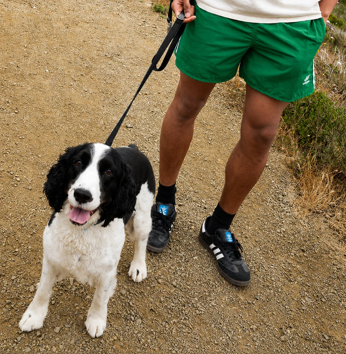 POFFI WALK